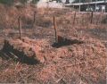 Bunker on Rte 1a near laundry.jpg
